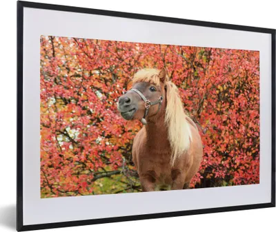Produktbild von MuchoWow® MuchoWow® Gerahmtes Poster Pferd - Pony - Herbstblätter 60x40 cm - Poster mit zchwarzem Bilderrahmen - Schlafzimmer - Plakat in Rahmen - Drucken