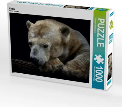 Produktbild von Calvendo Eisbär 1000 Teile Puzzle quer 640x480mm, Swierczyna Eleonore; 7436454