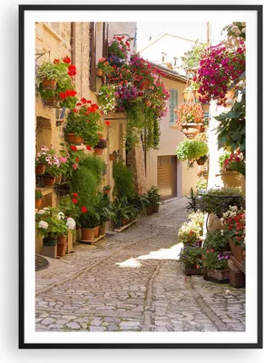 Produktbild von Gerahmtes Poster - Schwarzer Rahmen - Blume Straße Haus - 70x100 cm - Wand Bild - Wanddeko - Wandbilder - Kunstposter - Wandposter - Bilderrahmen - Bilder - Kunstdruck - Wandbild - P2BPA70x100-3586