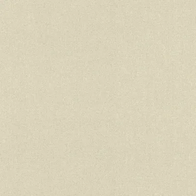 Produktbild von Rasch Vliestapete Color Your Life 633788 Uni Einfarbig Tapete 10.05 x 0.53 m Creme Wohnen Schlafen Küche Flur Eingangsbereich