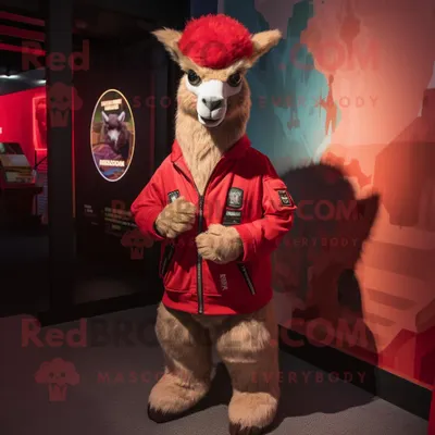 Produktbild von Roter REDBROKOLY Lama Maskottchen Kostüm charakter bekleidet mit einer Bomberjacke und Schlüsselanhängern