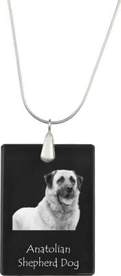 Produktbild von Anatolischer Hirtenhund - Kristallanhänger mit Hund, Silberhalskette mit Foto, personalisierter Anhänger der Marke Art-Dog