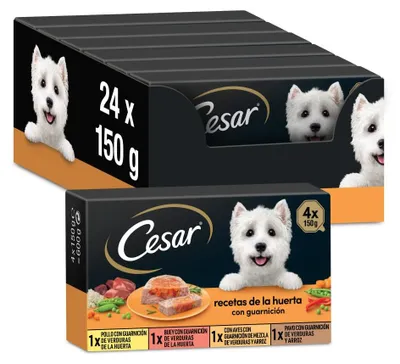 Productafbeelding van Cesar hondenvoer, recepten uit de moestuin in paté en gelatine, multipack (6 x 4 bakjes x 150 g) – grootte 150 g (verpakking van 24), recepten uit de moestuin met bijgerecht