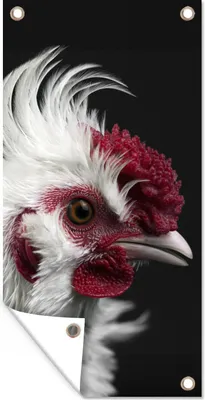 Produktbild von MuchoWow® 40x80 cm Outdoor-Poster Gartendeko Sichtschutz Garten Poster für den Garten  Huhn - Vogel - Schwarz