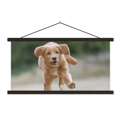 Produktbild von MuchoWow® Textilposter Ein Golden Retriever Welpe 150x75 cm mit schwarzem Rahmen - Posterleiste