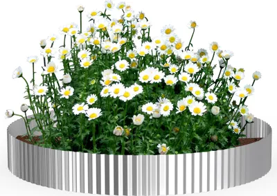 Produktbild von UISEBRT Silber Flexibel Rasenkante Beetumrandung 5m Länge 15cm Höhe Wellenform Metall Gartenumrandung Beeteinfassung für Rasen, Mähkante, Blumenbeet