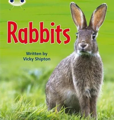 Imagen del producto de Bug Club Phonics - Phase 5 Unit 27: Rabbits