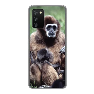 Produktbild von MuchoWow® Handyhülle Schutzhülle Hülle für Samsung Galaxy A03s Affe - Pflanzen - Jung Silikon Softcase Handy Hülle - Schutz