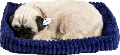 Produktbild von Perfect Petzzz Mops 96194