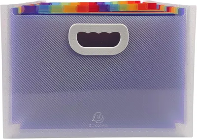 Produktbild von Exacompta 55198E Premium Kunststoff-Fächermappe Crystal mit Tragegriffen für DIN A4 24 vollfarbige Fächer, 2 Etikettenhalter für Visitenkarten inklusive 2 Etikettenbögen, Ordnungsmappe transparent