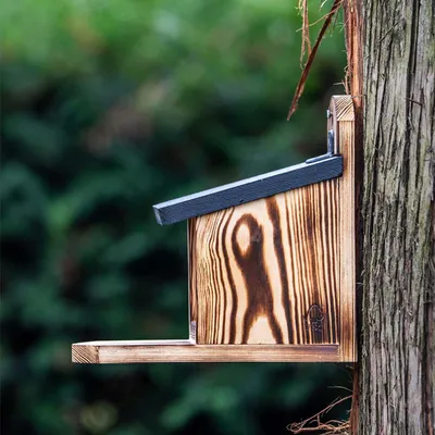 Produktbild von CJ Wildlife Eichhörnchen Futterhaus - Victoria Futterstation - Holz (FSC 100%)/Kunststoff - braun - durchsichtiges Fenster - einzigartiges Finish