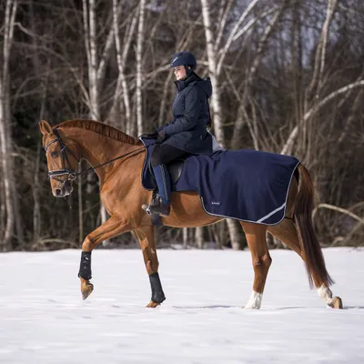 Produktbild von BUSSE Ausreitdecke FLEECETRAINER III in zwei Farben, Farbe:Navy, Rückenlänge in cm:125