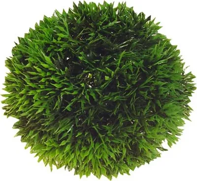 Immagine prodotto di HOBBY Palla per piante artificiali 13 cm, D41542