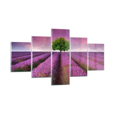 Produktbild von Bilder auf glas - Wiese lavenda Sommer Landschaft - 125x70cm - Glasbilder - Wandbilder - Kunstdruck - zum Aufhängen bereit - Wanddekoration aus Glas - Glas Bilder - Wandbild auf Glas - GEA125x70-2605