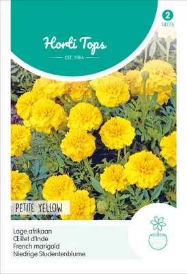Produktbild von Niedrige Studentenblume Petite Yellow | Studentenblumensamen von Hortitops