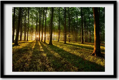 Produktbild von Bild 60x40 MDF-Rahmen, Wandkunst Sonnenstrahlen