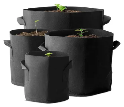 Produktbild von Caluma PotPot 11 l