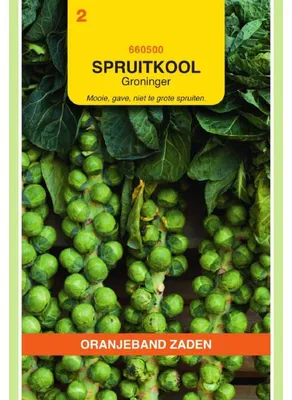 Obrázok produktu pre Oranjeband – kapusta Rosenkohl Groninger – 1 balenie semien