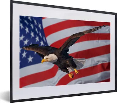 Produktbild von MuchoWow® MuchoWow® Gerahmtes Poster Amerikanischer Weißkopfseeadler vor der amerikanischen Flagge 40x30 cm - Poster mit zchwarzem Bilderrahmen - Bilderrahmen - Poster im Rahmen
