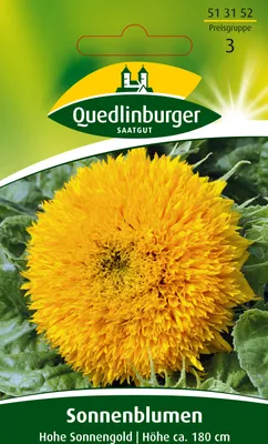 Produktbild von Quedlinburger Saatgut - Sonnenblumen Hohe Sonnengold - Samen - 513152