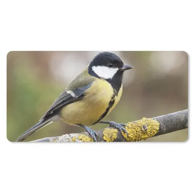Produktbild von MuchoWow® Schreibtischunterlage Eine Kohlmeise auf einem Ast mit Moos 80x40 cm - XXL Mauspad - Gaming Mauspad