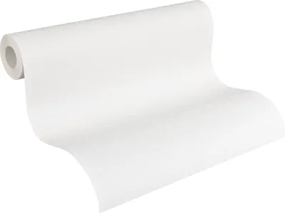 Produktbild von A.S. Création Vliestapete Meistervlies Pro Protect 2, weiss, überstreichbar, 10,05 m x 0,53 m, 260413, 2604-13