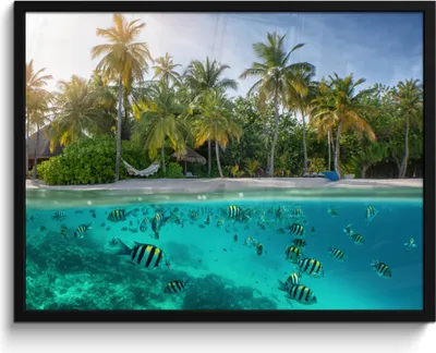 Produktbild von MuchoWow® MuchoWow® Gerahmtes Poster Strand - Meer - Fisch - Insel 80x60 cm - Poster mit zchwarzem Bilderrahmen - Schwarzem - Mit Gestell