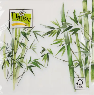 Image de Serviettes en papier en bambou 33x33 cm Pol-mak