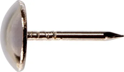 Produktbild von Connex Polsternägel Ø 9,0 x 12,5 mm