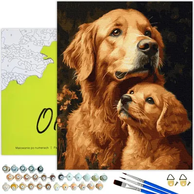 Produktbild von Oh Art! Malen nach Zahlen Erwachsene mit Rahmen 40x50 cm– Golden Retriever Duo – Hunde-Motiv DIY Set: Leinwand , 20 Acrylfarben, 3 Pinsel & Zubehör