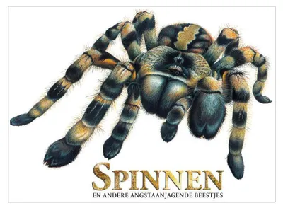 Zdjęcie produktu dla Buch des Rebo-Verlags über Spinnen, furchterregende Kreaturen