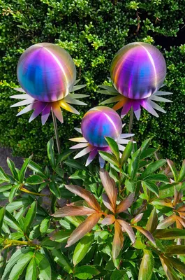 Produktbild von Blütenzauber Milano 3er Set Rosenkugel 15/15/10 cm Edelstahl rainbow matt gebürstet Gartenstecker Deko mit Stab 80 cm