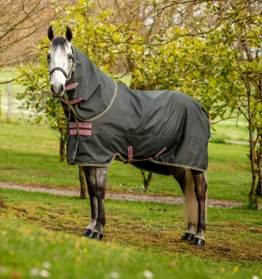Obrázek produktu pro Horseware Amigo Hero Ripstop Lite Plus Neck 0g Turnout Blanket voděodolná deka Shadow/Rose & Navy, velikost deky Horseware:140 cm / 6'3