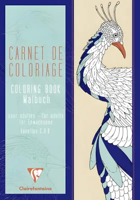 Produktbild von Clairefontaine Malbuch Erwachsene 21x29,7 Natur