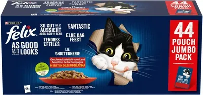 A box of Felix cat food pouches, featuring a cartoon cat.