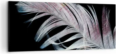 Produktbild von Bild auf Leinwand - Leinwandbild - Einteilig - Feder die Farben Zartheit - 120x50cm - Wand Bild - Wanddeko - Wandbilder - Leinwanddruck - Bilder - Wanddekoration - Leinwand bilder - AB120x50-4959