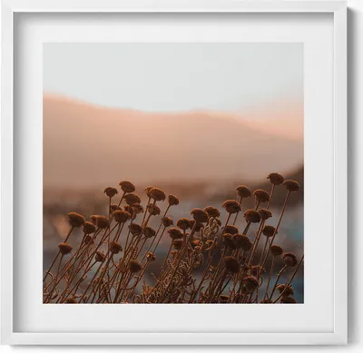 Produktbild von Boho romantische Graslandschaft– Wandbild mit Rahmen – Gerahmtes Bild  – Wanddekoration – 50x50 cm –  Weiß Rahmen