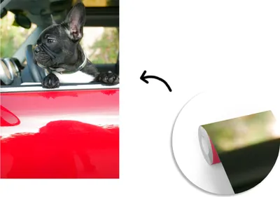 Produktbild von MuchoWow® Fototapete für Wohnzimmer oder Schlafzimmer Wandtapete Vinyl Motivtapete Französische Bulldogge - Auto - Rot - 175x260 cm - Vinyltapete