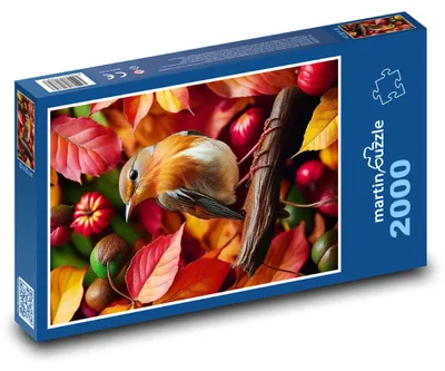 Produktbild von martinpuzzle - Puzzle 2000 Teile - Herbstlaubvogel