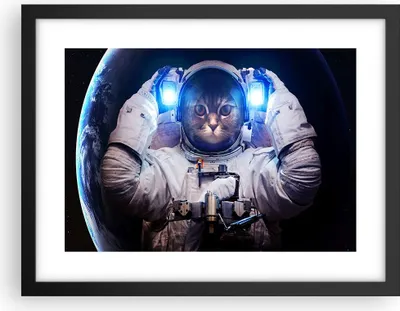 Produktbild von Gerahmtes Poster - Schwarzer Rahmen - Kosmonaut Katze - 40x30 cm - Wand Bild - Wanddeko - Wandbilder - Kunstposter - Wandposter - Bilderrahmen - Bilder - Kunstdruck - Wandbild - P2BAA40x30-3734