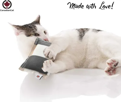 Produktbild von Canadiancat company Kanadische Katze spielen Kissen karo mit Katzenminze grau / beige