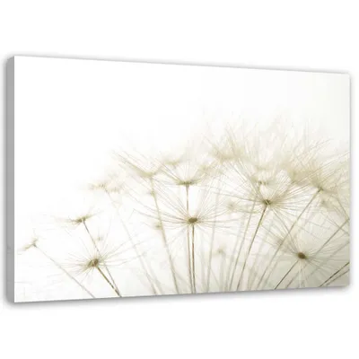 Produktbild von Leinwandbild schmeißfliege nahaufnahme 120x80 cm Feeby beige wandbild bereit zum aufhängen