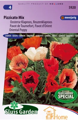 Produktbild von Pizzicato Mix Samen, mehrjähriger orientalischer Mohn – Pizzicato Mix Seeds, Perennial Oriental Poppy – Pizzicato Mix Samen für mehrjährigen orientalischen Mohn