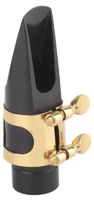 Image de Embouchure professionnelle pour saxophone alto et flûte, idéale pour le jazz et autres instruments de musique