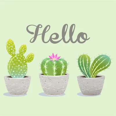 Image de Lot de 20 serviettes papier hello