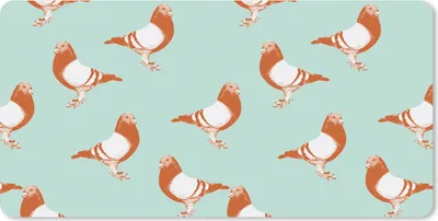 Produktbild von MuchoWow® Schreibtischunterlage Taube - Vogel - Muster 80x40 cm - XXL Mauspad - Gaming Mauspad