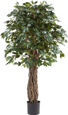 Produktbild von aplanta Künstlicher Ficus – Amadior | 180 cm, Echtholzstamm, UV-beständig, für drinnen, Kunstbaum, wie echt, Allergiker geeignet, pflanzliche Dekoration Praxis, Office & Wohnzimmer