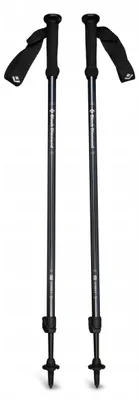 Obrázok produktu pre Trekingové palice Explorer 2, unisex, atramentovo modré, jedna veľkosť - Black Diamond