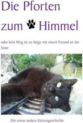 Produktbild von Die Pforten zum Himmel