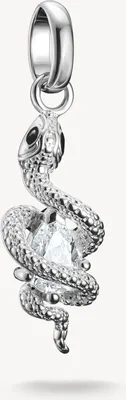 Image de Pendentif charm serpent avec pierre, argent